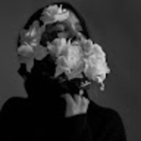 Meet your Posher, Ava - Picture 1 of 1